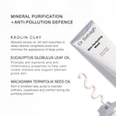 Dr Sebagh Skin Perfecting Mask – key ingredients